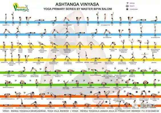 瑜伽种类那么多中欧体育入口到底该练哪种？ 8 大流派解析（收藏级）(图5)